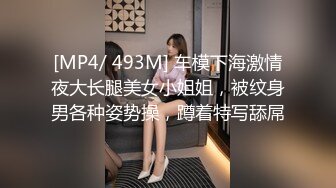 [MP4/ 493M] 车模下海激情夜大长腿美女小姐姐，被纹身男各种姿势操，蹲着特写舔屌