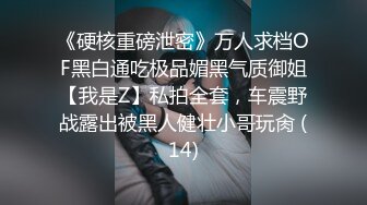 《硬核重磅泄密》万人求档OF黑白通吃极品媚黑气质御姐【我是Z】私拍全套，车震野战露出被黑人健壮小哥玩肏 (14)