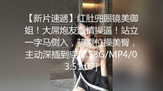 [MP4]兔子先生系列麻豆传媒代理-情侶性愛挑戰賽EP2-主动打电话参加演出的 绫波丽