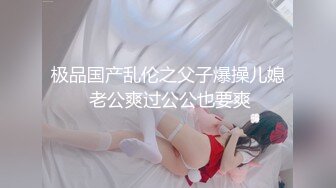 公司住宅的昼颜蕾丝