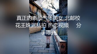 【视频】一茶S-马桶视角开发改造