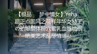 【极品❤️梦中情女】Yeha✿超正点国风之花样年华女特工の劲爆酮体粉穴蜜乳血脉喷张绝美艺术品尽情脑补