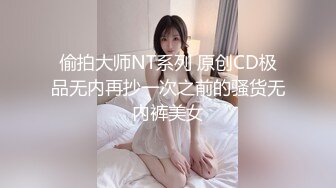 偷拍大师NT系列 原创CD极品无内再抄一次之前的骚货无内裤美女