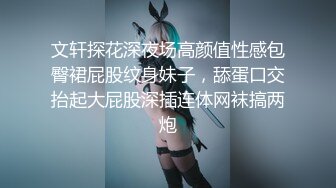 文轩探花深夜场高颜值性感包臀裙屁股纹身妹子，舔蛋口交抬起大屁股深插连体网袜搞两炮