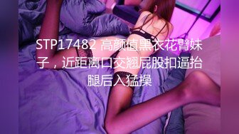 STP17482 高颜值黑衣花臂妹子，近距离口交翘屁股扣逼抬腿后入猛操