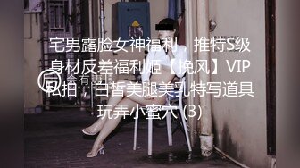 宅男露脸女神福利，推特S级身材反差福利姬【挽风】VIP私拍，白皙美腿美乳特写道具玩弄小蜜穴 (3)