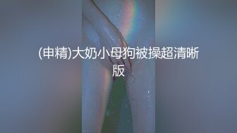 (申精)大奶小母狗被操超清晰版