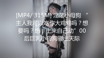 HD) SW-664 在同學會見面的初戀對象成為人妻！欲求不滿的她握肉棒誘惑我！[有碼高清中文字幕]