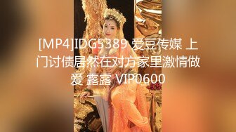 [MP4]IDG5389 爱豆传媒 上门讨债居然在对方家里激情做爱 露露 VIP0600