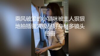 乘风破浪的小猫咪被主人狠狠地抽插骚穴极品好身材多镜头拍摄