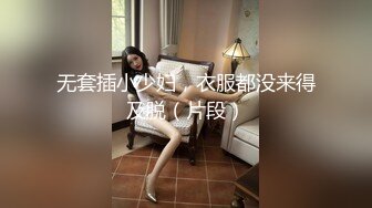 无套插小少妇，衣服都没来得及脱（片段）