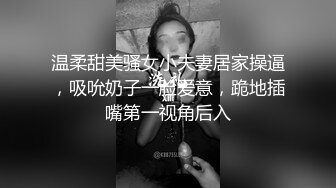 温柔甜美骚女小夫妻居家操逼，吸吮奶子一脸爱意，跪地插嘴第一视角后入