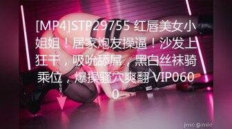 [MP4]STP29755 红唇美女小姐姐！居家炮友操逼！沙发上狂干，吸吮舔屌，黑白丝袜骑乘位，爆操骚穴爽翻 VIP0600