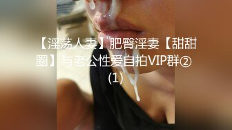 【淫荡人妻】肥臀淫妻【甜甜圈】与老公性爱自拍VIP群② (1)