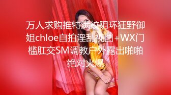 万人求购推特满纹阴环狂野御姐chloe自拍淫乱视图+WX门槛肛交SM调教户外露出啪啪绝对火爆