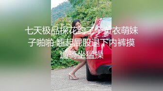 桃花源 THY0007 黑丝美乳兔女郎的报复