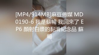 【AV佳丽】巨乳妻子李儿出轨丈夫出轨