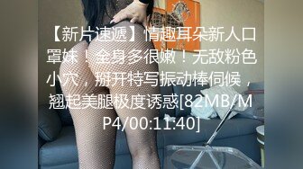 Al&mdash;索菲娅&middot;维加拉 爆乳女仆