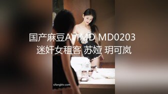 国产麻豆AV MD MD0203 迷奸女租客 苏娅 玥可岚