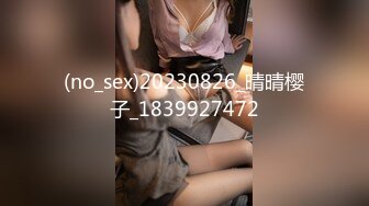 [DVDMS-808] 野咲美桜≪中出し解禁≫セレブ人妻が危険日に子宮で味わう濃厚精液