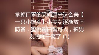 大像传媒之火辣女同事的性感誘惑-李娜娜