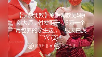 [MP4]麻豆传媒 FLIXKO MFK0012 执着的爱