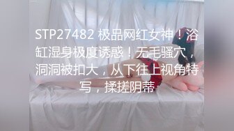 大鸡巴无套后入小嫩逼